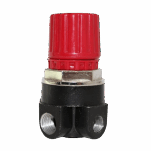 RT01